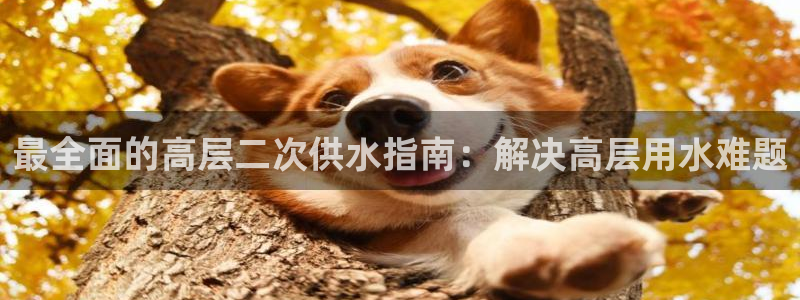 球友会登陆