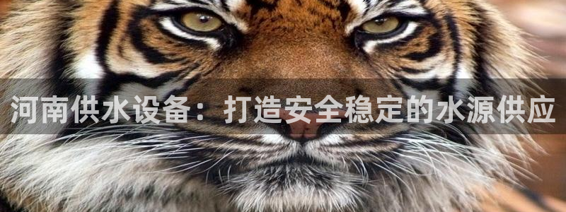 球友会友谊赛赛程赛果