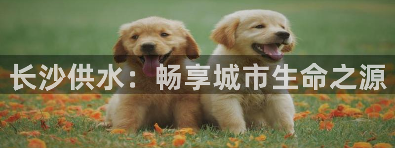 球友会qyh88bet
