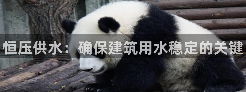 球友会台球俱乐部在哪