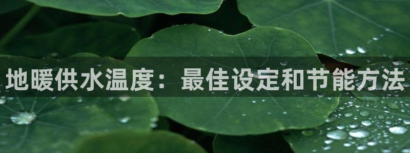 球友会提款审核中