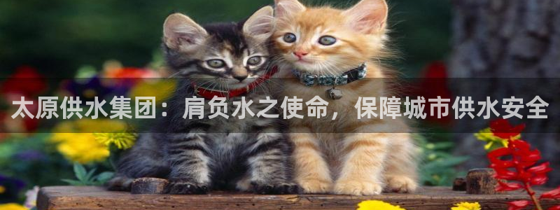 球友会app官方网站