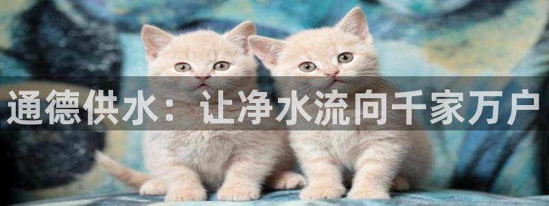 球友会软件