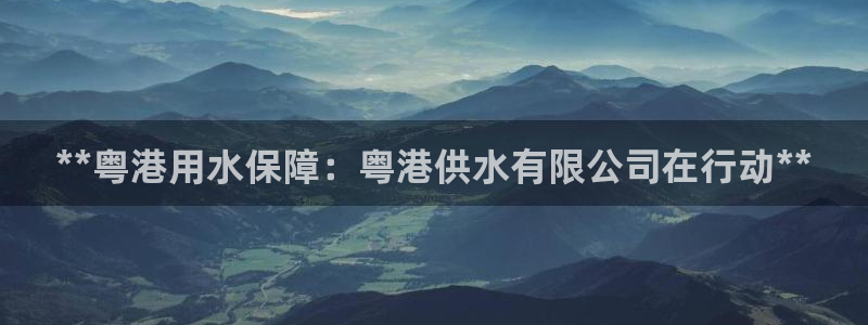 球友会App