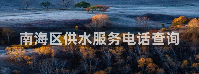 关键词