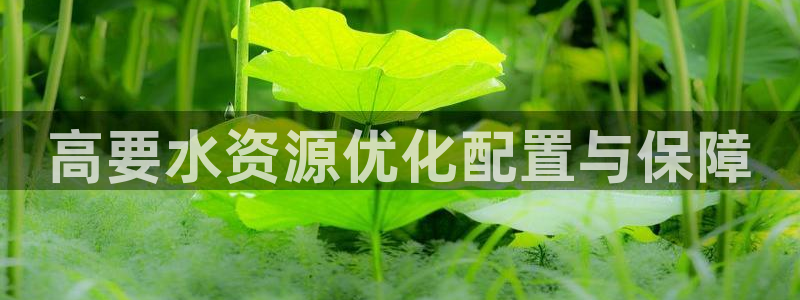 球友会聚餐发言