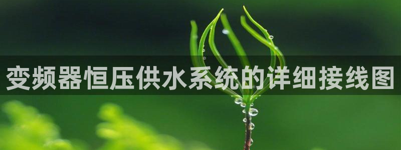 球友会官方网站