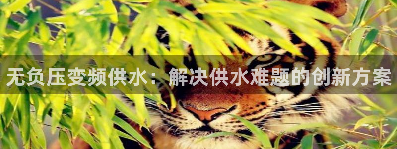 球友会FIFA22比赛是否能随机超控