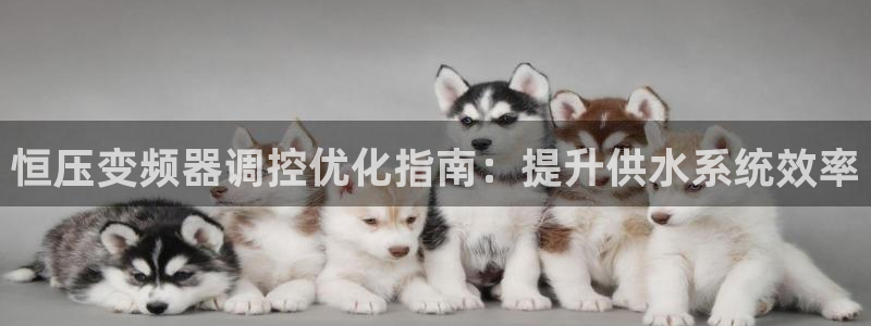球友会提款不到账