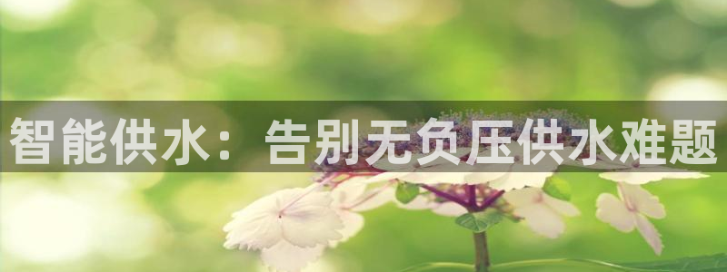 球友会网站多少钱一个