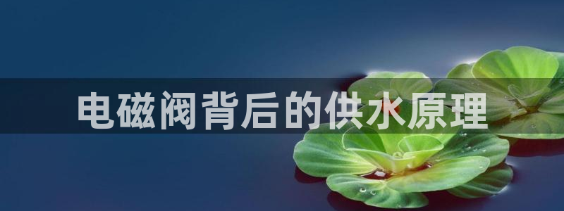 QY球友会体育官方平台