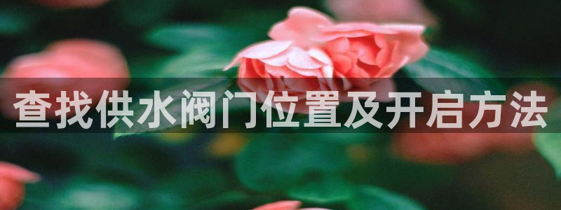 球友会APP