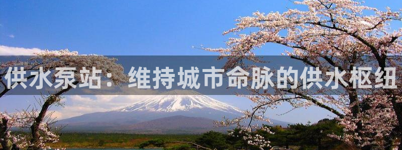 球友会提款不到账