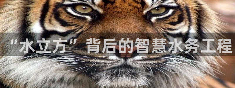 球友会台球俱乐部官网
