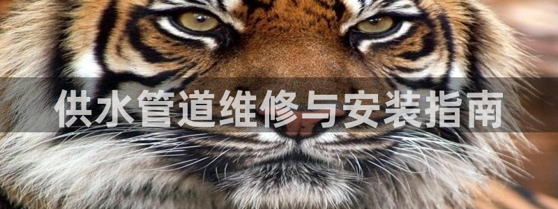 球友会官网入口