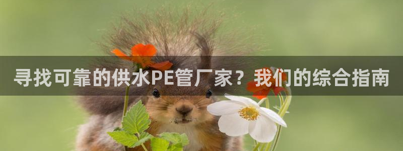 球友会登录不上的原因