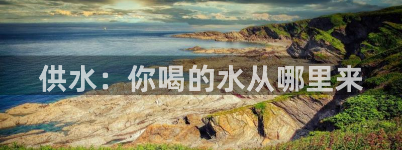 球友会·(QY)官方网站