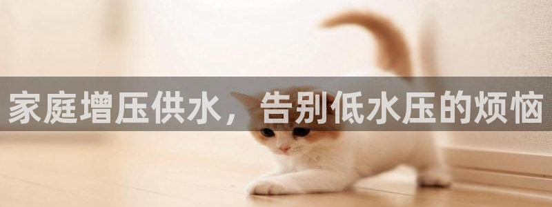 球友会下载安装