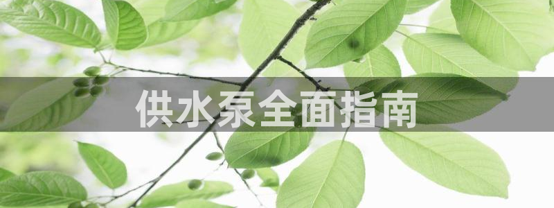 球友会app官方网站