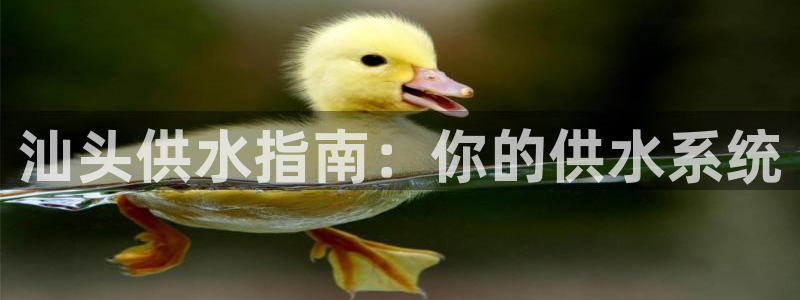 球友会提现