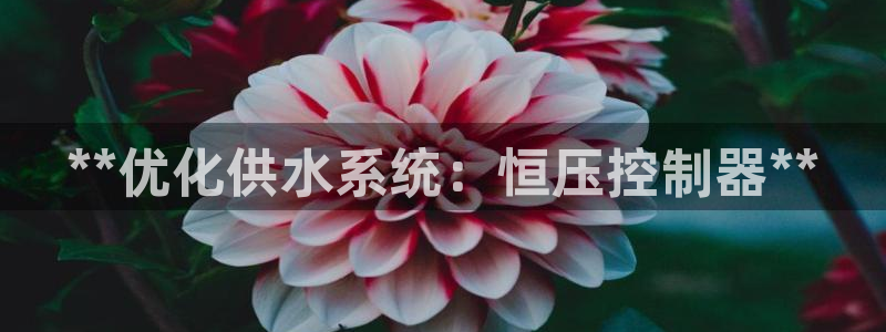 球友会聚餐发言怎么说