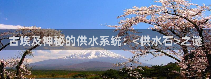 球友会下载安装
