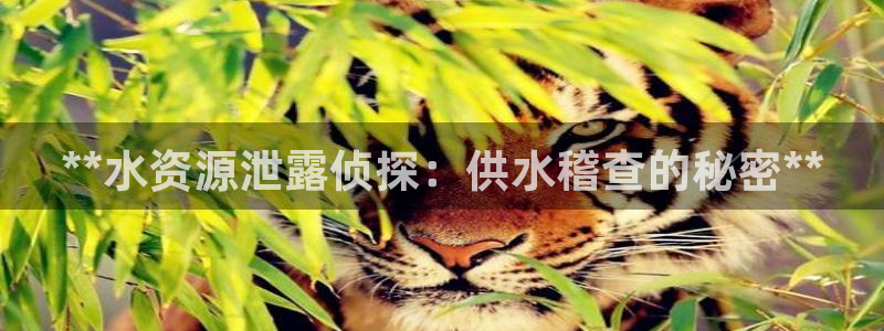 球友会qyh88bet