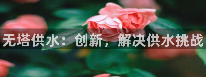 球友会台球俱乐部官网