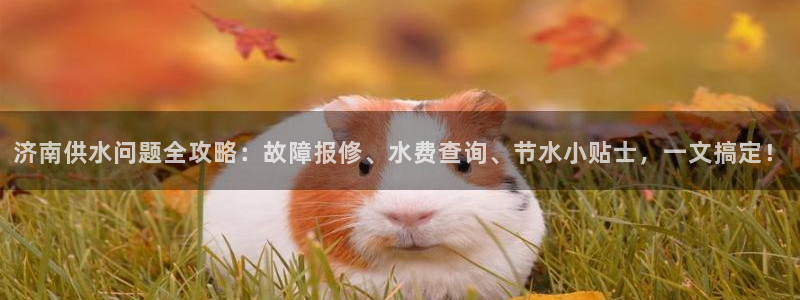 球友会app官网下载安卓