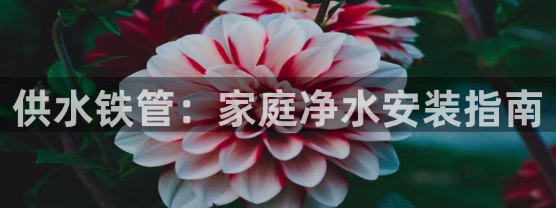 球友会不出款