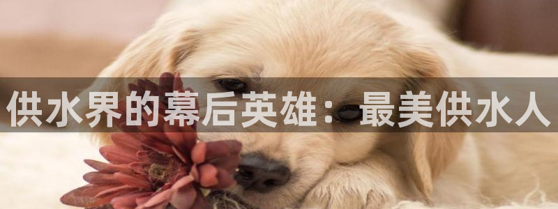 球友会聚餐发言稿简短