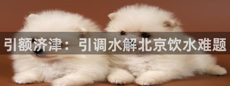 球友会不出款