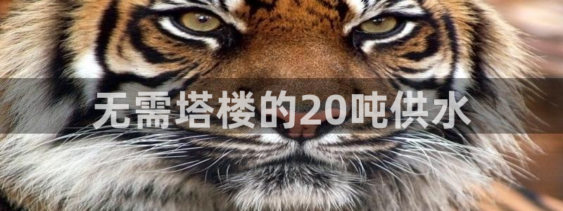 球友会比赛结果查询