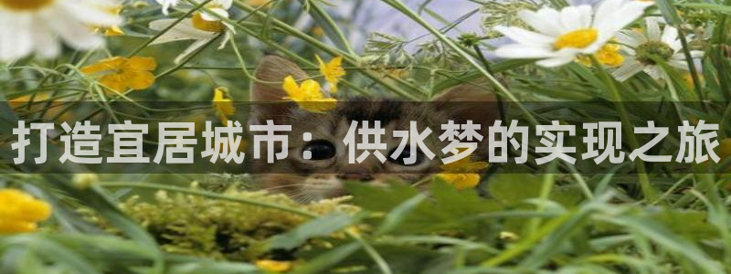 球友会台球俱乐部官网
