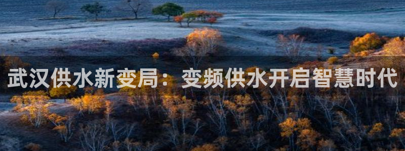 球友会联赛