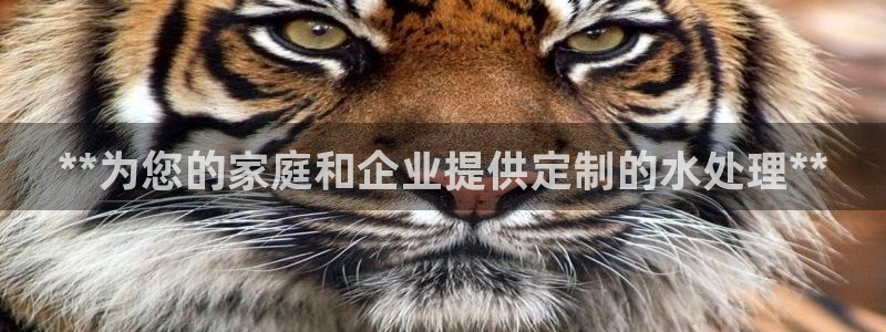 QY球友会