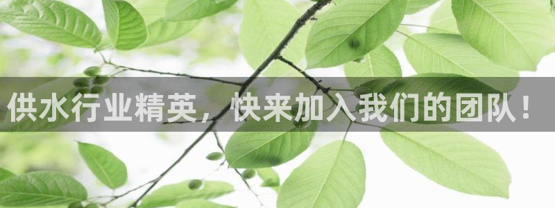 球友会提现