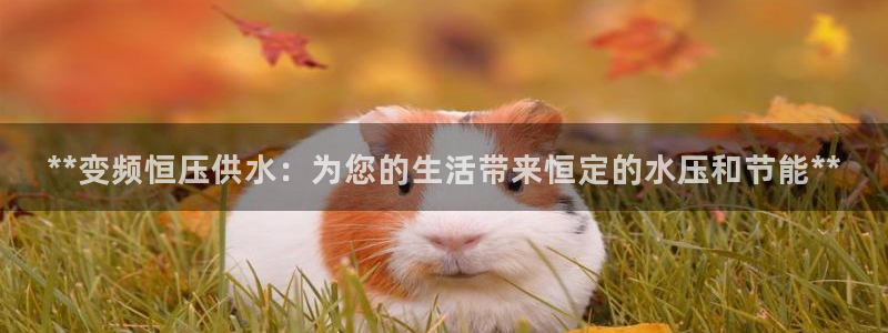 球友会apy
