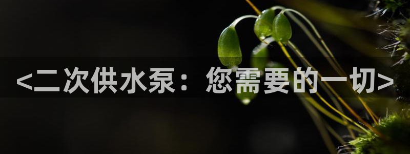 球友会地址