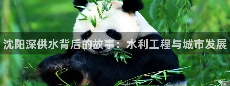 球友会提现