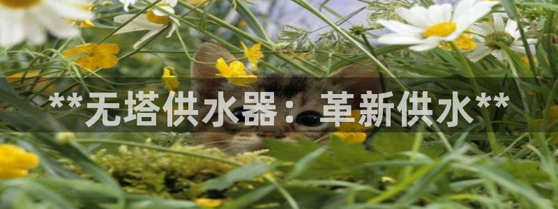球友会官网入口网址