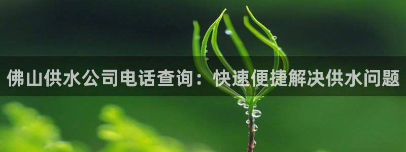 球友会比赛结果查询网站