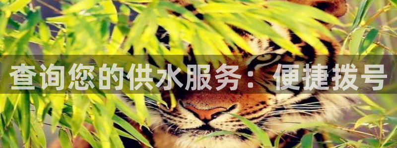 球友会娱乐