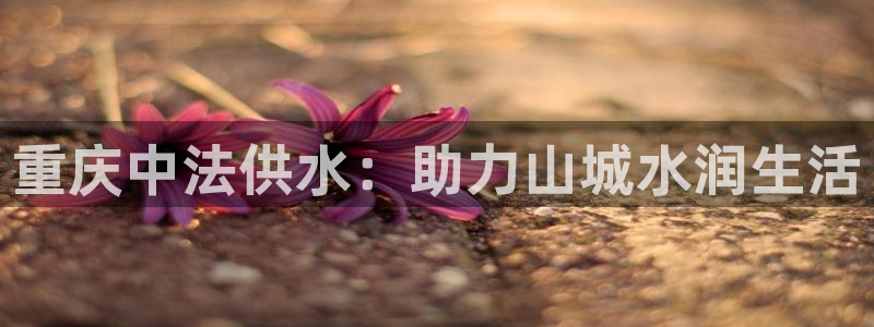 球友会app官方网站
