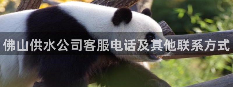 球友会能提现吗
