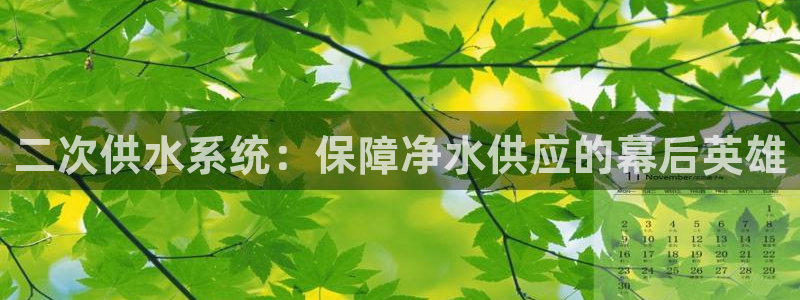 球友会提款审核中