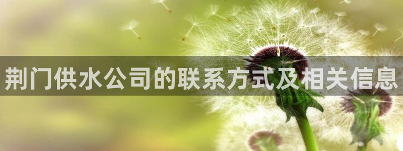 球友会台球俱乐部官网