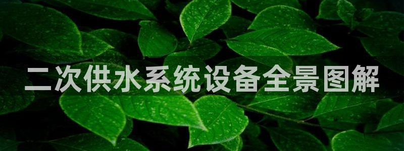 球友会体育app官方版下载安装苹果手机