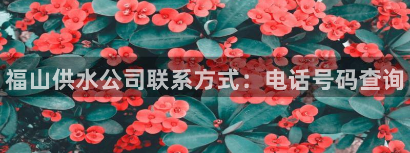 球友会FIFA22比赛是否能随机超控