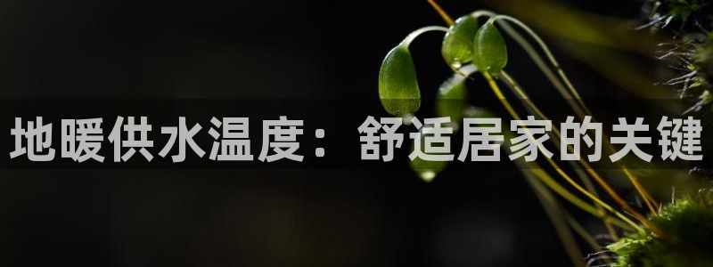 球友会软件